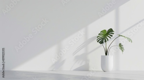 Minimalist Interior Design with Plant