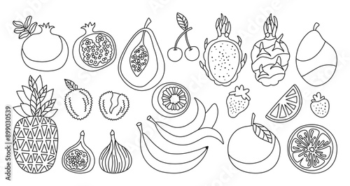 Fruits or berries doodle cartoon set. Sliced linear orange, papaya fig litchi pineapple, dragon fruits outline trendy art. Juicy kiwi, mango banana pomegranate, strawberry cherry line vector drawn