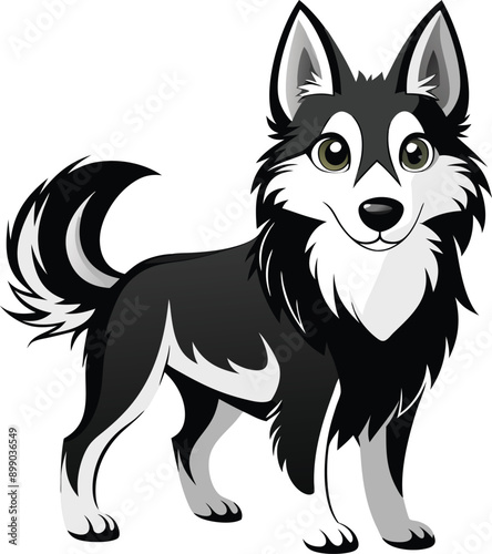 black and white dog