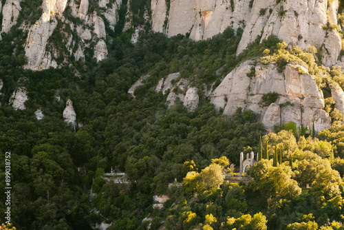 Photography Background of forest, nature, and steep mountain rock walls illuminated by the s