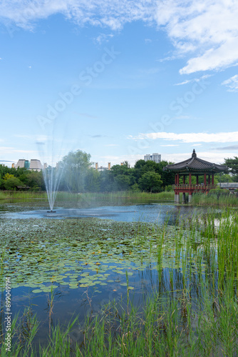 Obraz na płótnie Hanbat Arboretum summer garden in Daejeon, Korea w salonie