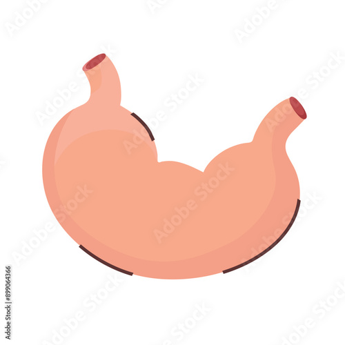 Stomach icon clipart avatar logtotype isolated vector illustration