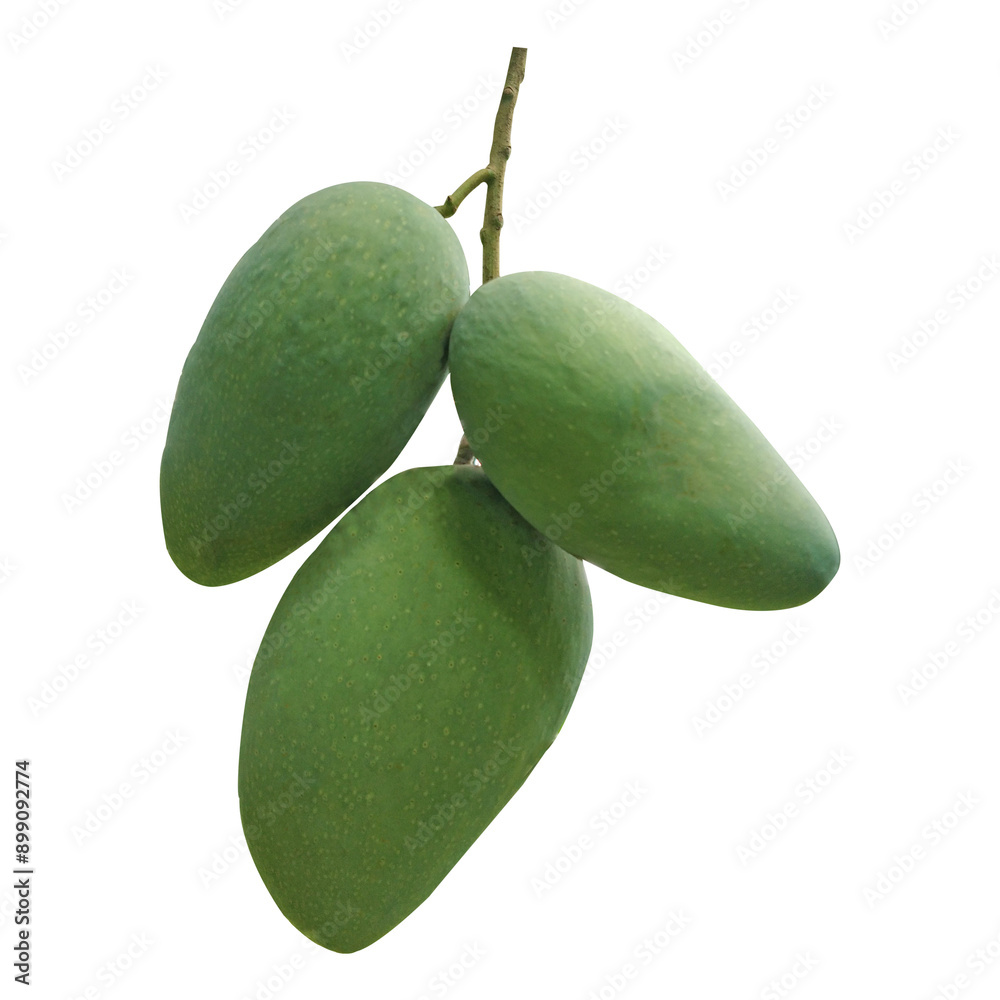 Obraz premium Green Mango Image
