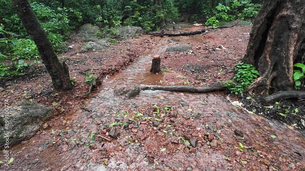 Rainwater flowing through a lush forest path with rocks and vegetation in the background during a heavy downpour in early autumn Rainwater flowing through a lush forest path with rocks and vegetation in the background during a heavy downpour in early autumn