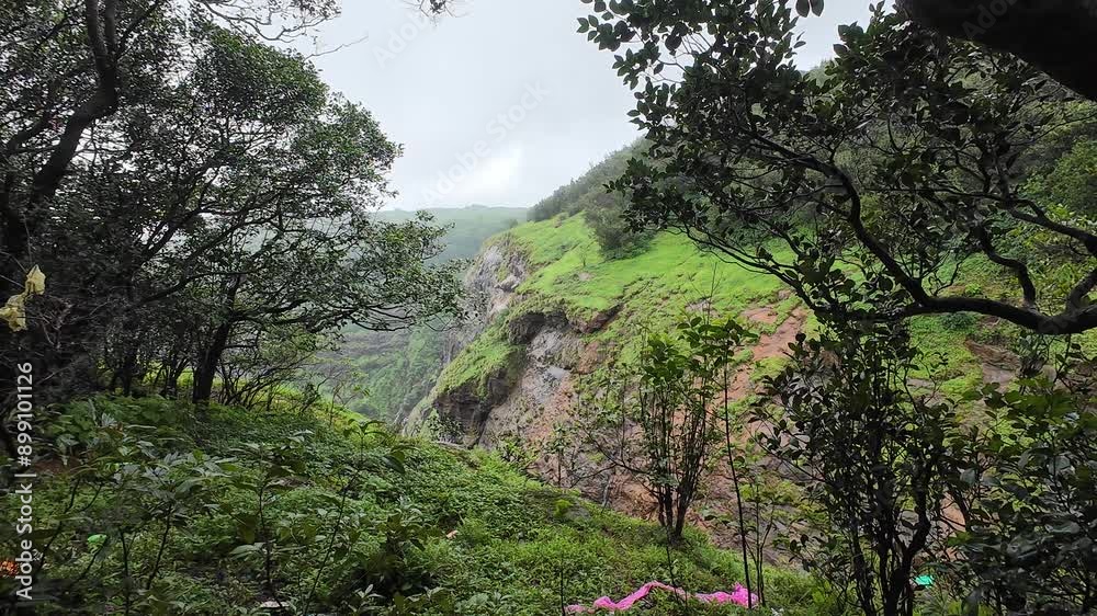 landscape with greenery and mist in the air. landscape with greenery and mist in the air.