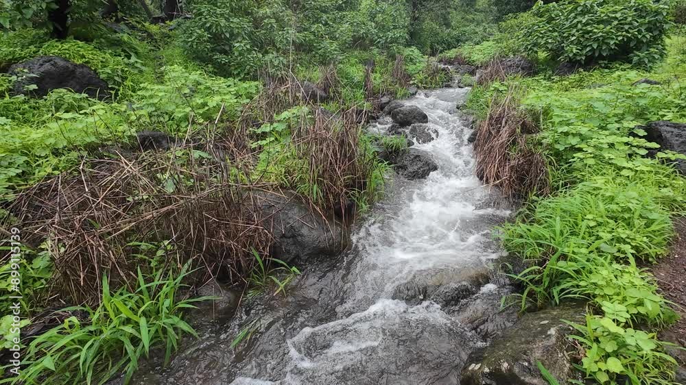 Flowing water stream surrounded by lush greenery in a serene forest setting Flowing water stream surrounded by lush greenery in a serene forest setting