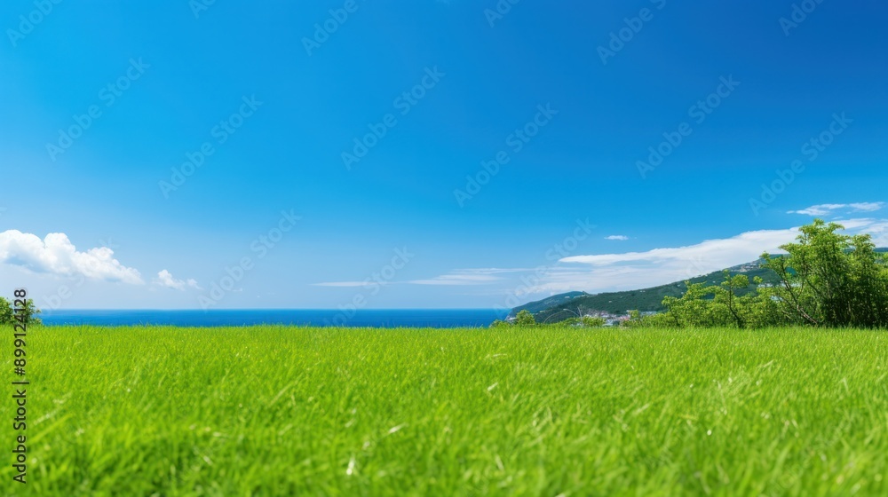 Lush green artificial grass field under clear blue sky on a sunny day Lush green artificial grass field under clear blue sky on a sunny day