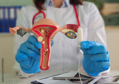 Doctor holds model of female reproductive system and tampon