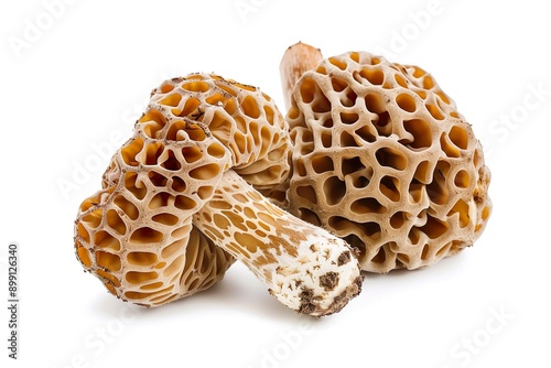 Morel Mushroom isolated on a white background