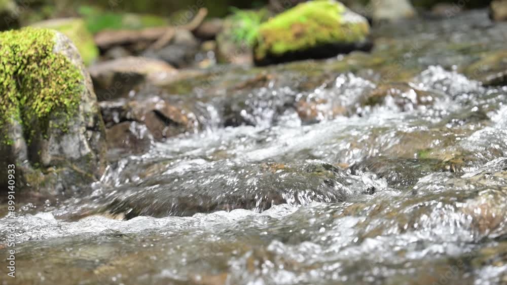 Japanese canyon river flow close-up with sound Animation of clear stream and summer vacation image