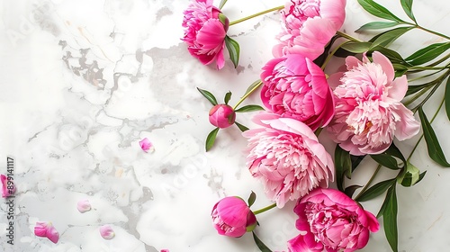 Fototapeta Naklejka Na Ścianę i Meble -  Beautiful pink peony flowers on white stone table with copy space for your text top view and flat lay style