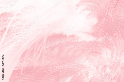 Beautiful soft pink feather pattern texture background