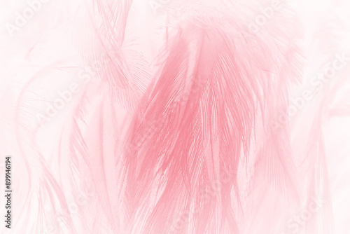 Beautiful soft pink feather pattern texture background