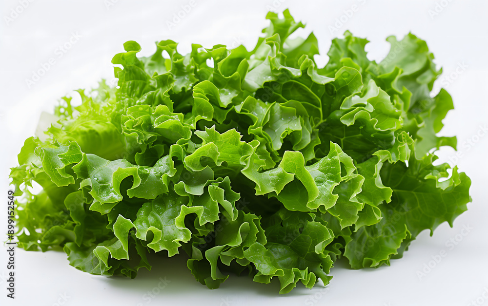 Fresh Green Lettuce Leaves Isolated on White Background Fresh Green Lettuce Leaves Isolated on White Background
