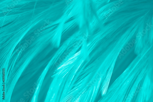 Beautiful green turquoise vintage color trends feather pattern texture background