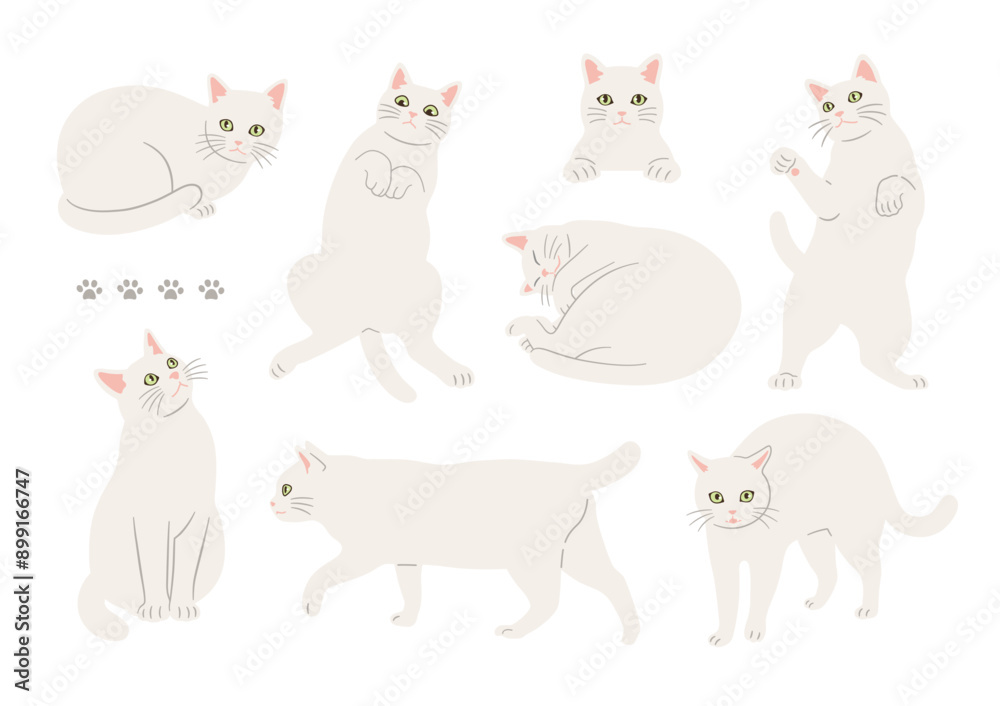 かわいい白猫のいろいろなポーズのイラスト かわいい白猫のいろいろなポーズのイラスト
