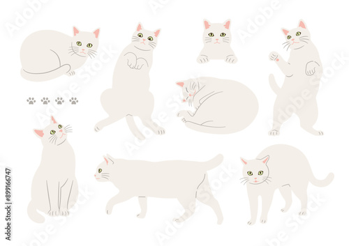 かわいい白猫のいろいろなポーズのイラスト