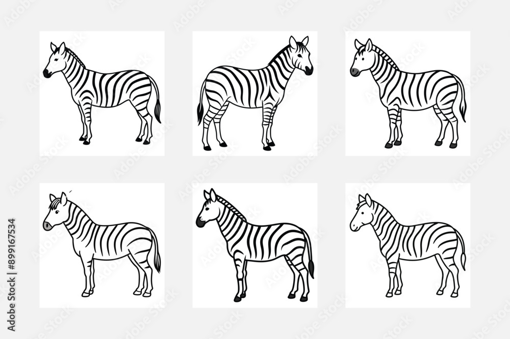 Fototapeta premium Inspiring Zebra Line Art Illustrations for Kids 