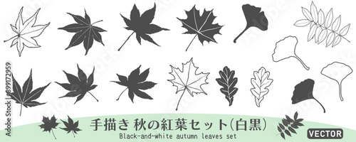 白黒2色の秋の紅葉、落ち葉アイコンセット　手描き　ベクターイラスト、白バック、背景なし、