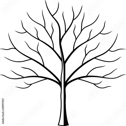 Winter Trees Silhouette: Simple Leafless Tree Artwork