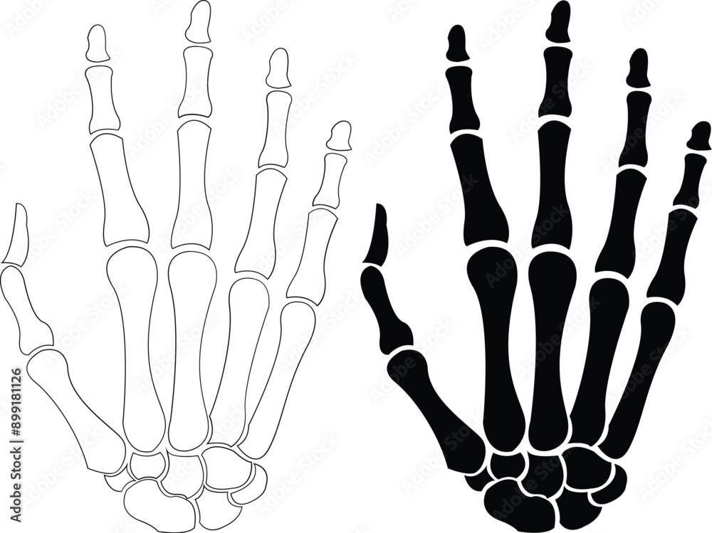 Naklejka premium Skeleton Hands, Skeleton, Skull Skeleton Hand - Skeleton Silhouette with transparent background
