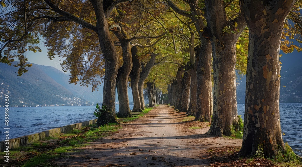 Fototapeta premium A row of trees line the sidewalk near Lake Como, Italy, with bright colors and thick brush strokes. The landscape depicts a sunny day, with rolling hills and a calm blue lake in the distance.