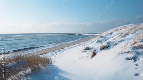 A serene winter beach with snow-covered dunes and a calm sea.