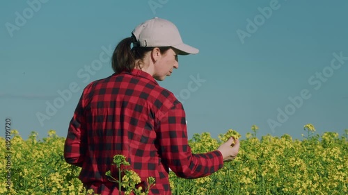 Woman Farmer Working Rapeseed Field. Farmer Touching Screen Of Digital Tablet At Rapeseed Field. Farmer With A Tablet In Field. Agricultural Business. photo