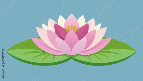 Flat Vector Waterlilies: Beautiful Fat Illustration