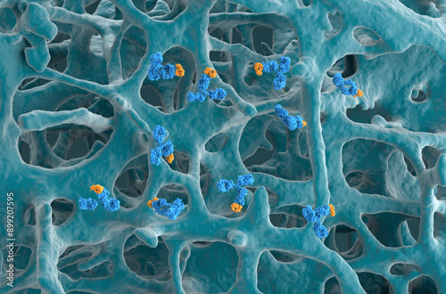 Monoclonal antibody therapy in Osteoporosis - isometric view 3d illustration photo