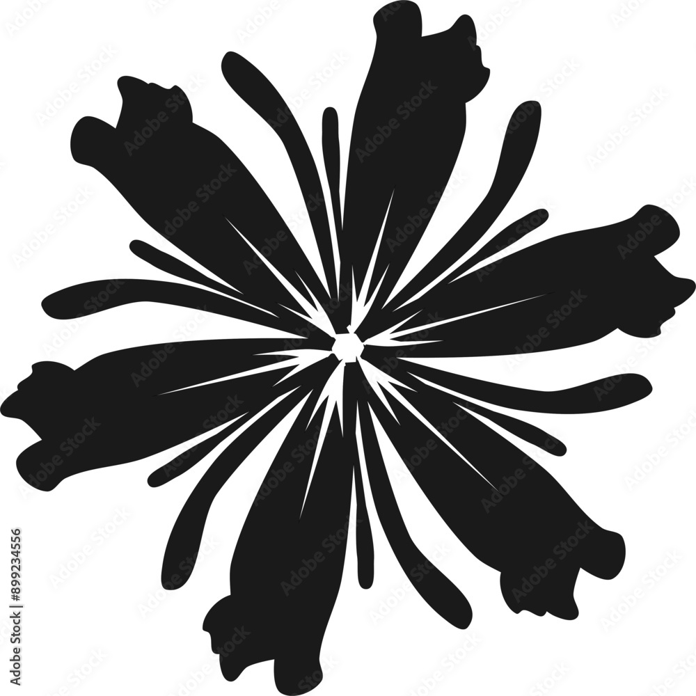 Obraz premium a black and white flower on transparent background