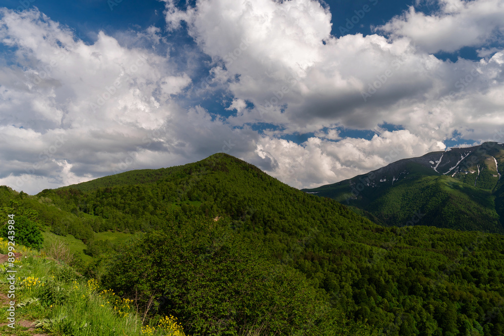 Green hills and forested mountains under blue sky Green hills and forested mountains under blue sky