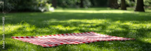 Red and white checkered picnic blanket on green grass