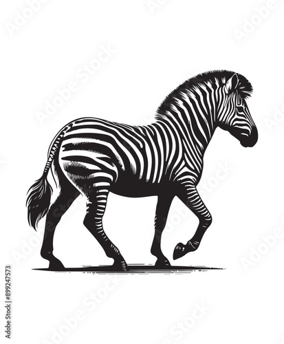zebra vector art,graphics zebras icons set,vintage illustration zebra clipart,vector zebras flat style artwork design