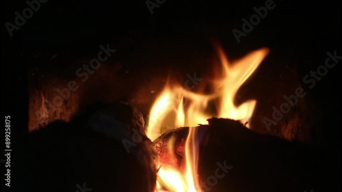 Firewood burning in the fireplace