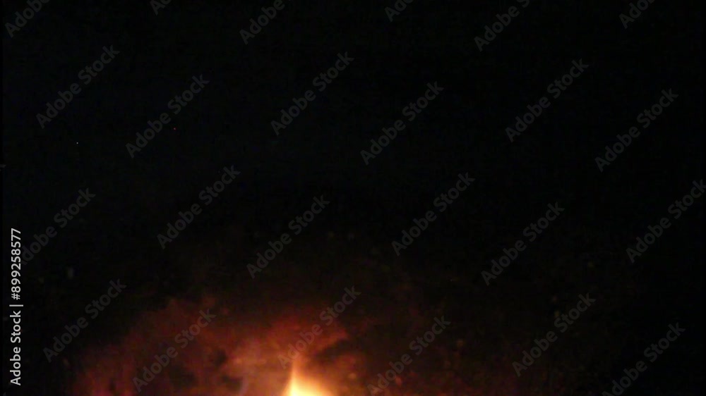 Firewood burning in the fireplace