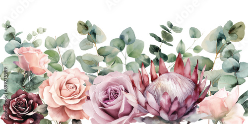 Watercolor roses and protea flowers and eucalyptus leaves seamless border, perfect for cards design, wedding invitations, decorative use or crafting nature arrangements. Isolated on white