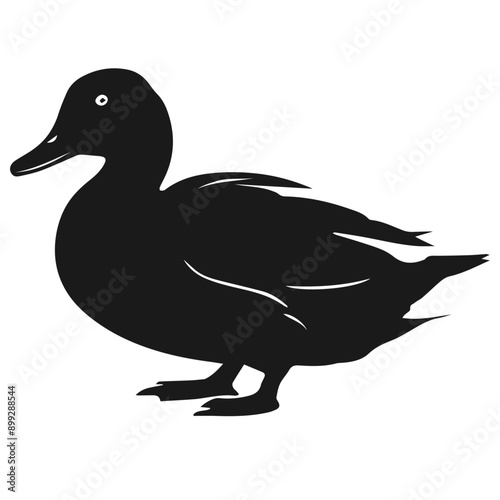 Clean black and white vector silhouette of a Duck isolated on white background