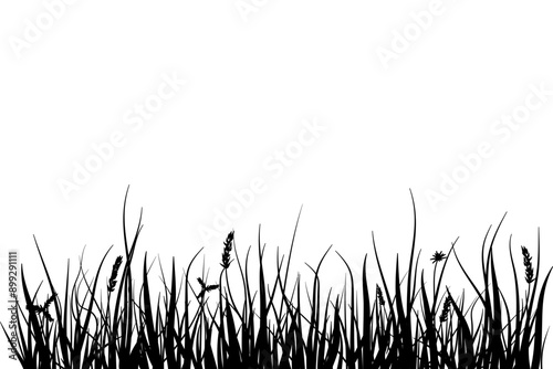meadow silhouette with long grass