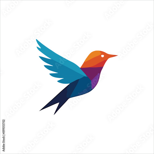 colibri logo design. colorful icon for business, education and natural company illustration