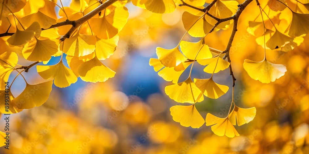 Yellow autumnal leaves of ginkgo balboa tree AI Generative Yellow autumnal leaves of ginkgo balboa tree AI Generative