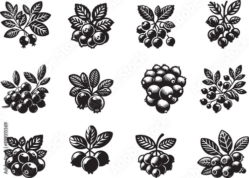 Cranberry Fruits Silhouette Vector Illustration