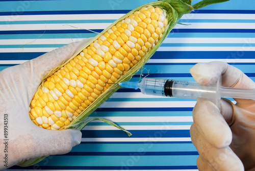 Принти на полотні genetically modified corn cob with syringe on striped surface