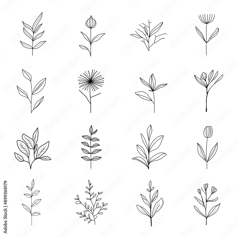 Minimalist flower and flower branches for logos or tattoos. Hand drawn line wedding elements, simple elegant leaves Minimalist flower and flower branches for logos or tattoos. Hand drawn line wedding elements, simple elegant leaves