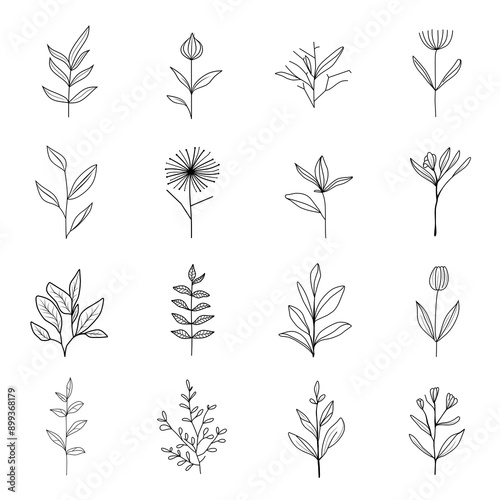 Minimalist flower and flower branches for logos or tattoos. Hand drawn line wedding elements, simple elegant leaves