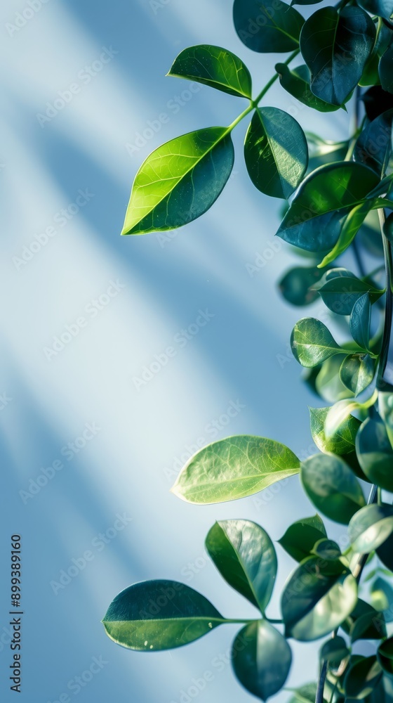 Obraz premium A tight shot of a green plant with foliage, against a backdrop of a blue sky