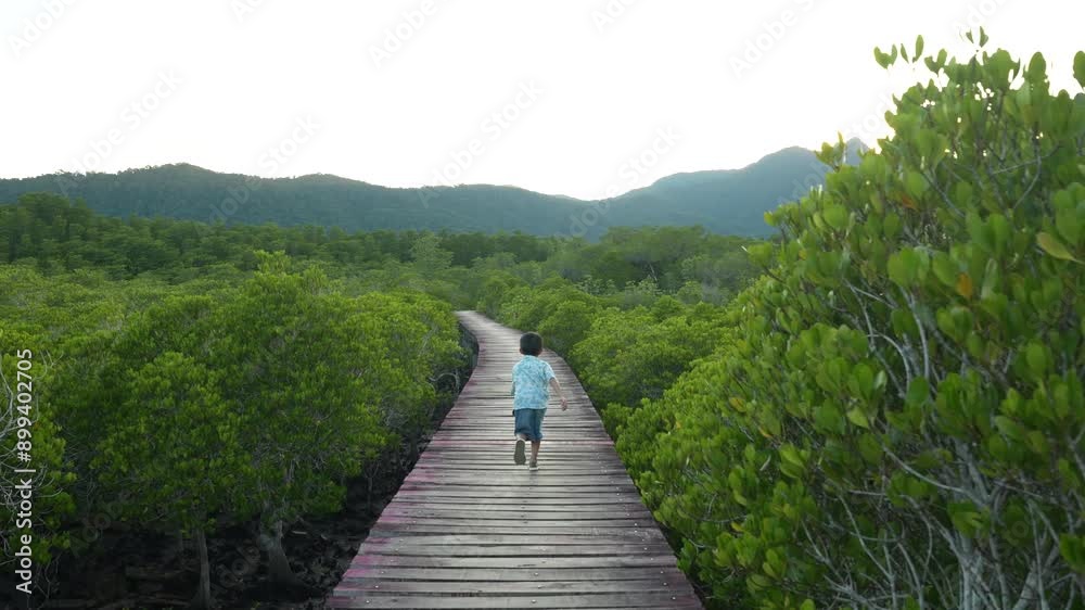 Little boy enjoy running on wood pathway travel in mangrove tropical rainforest kid in nature Little boy enjoy running on wood pathway travel in mangrove tropical rainforest kid in nature