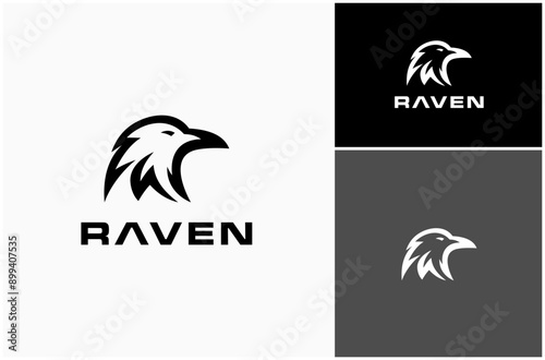 Raven Crow Corvus Head Face Bird Wildlife Modern Simple Vector Logo Design Illustration
