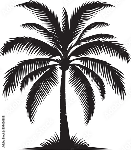 Black palms tree set vector images illustration. Beautiful palm tree leaf set silhouette, coconut tree silhouette. Silhouette palm trees.