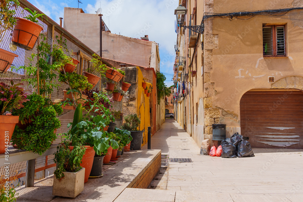 Obraz premium Serene Alleyway with Planters and Rustic Buildings in Tarragona